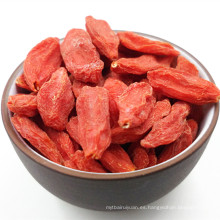 Non GMO Goji Berry / Super Grade Organic Goji Berry para la venta